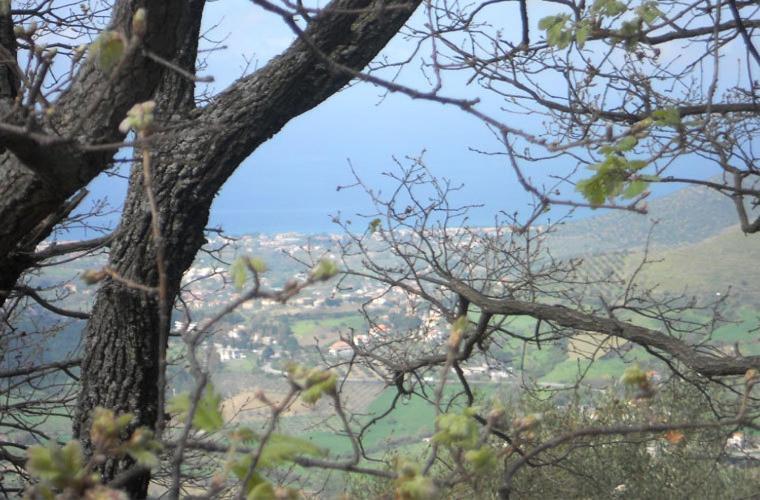 Casale Il Gheppio Laureana Cilento Exterior foto